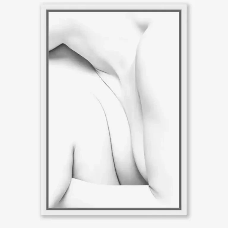 Webshop curves-2 ©Leon Schroder